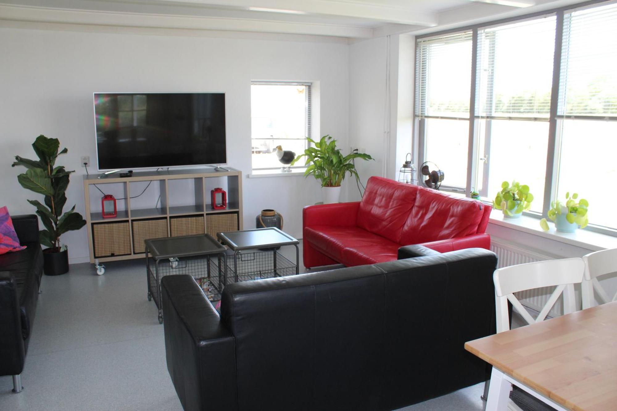 Vrijstaande Ruime Familiewoning Landelijk Gelegen Villa Lewedorp Exteriör bild