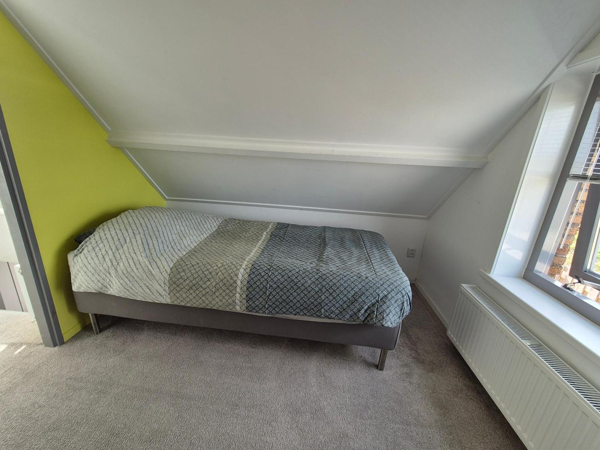 Vrijstaande Ruime Familiewoning Landelijk Gelegen Villa Lewedorp Exteriör bild